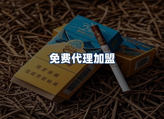专业团队办公环境